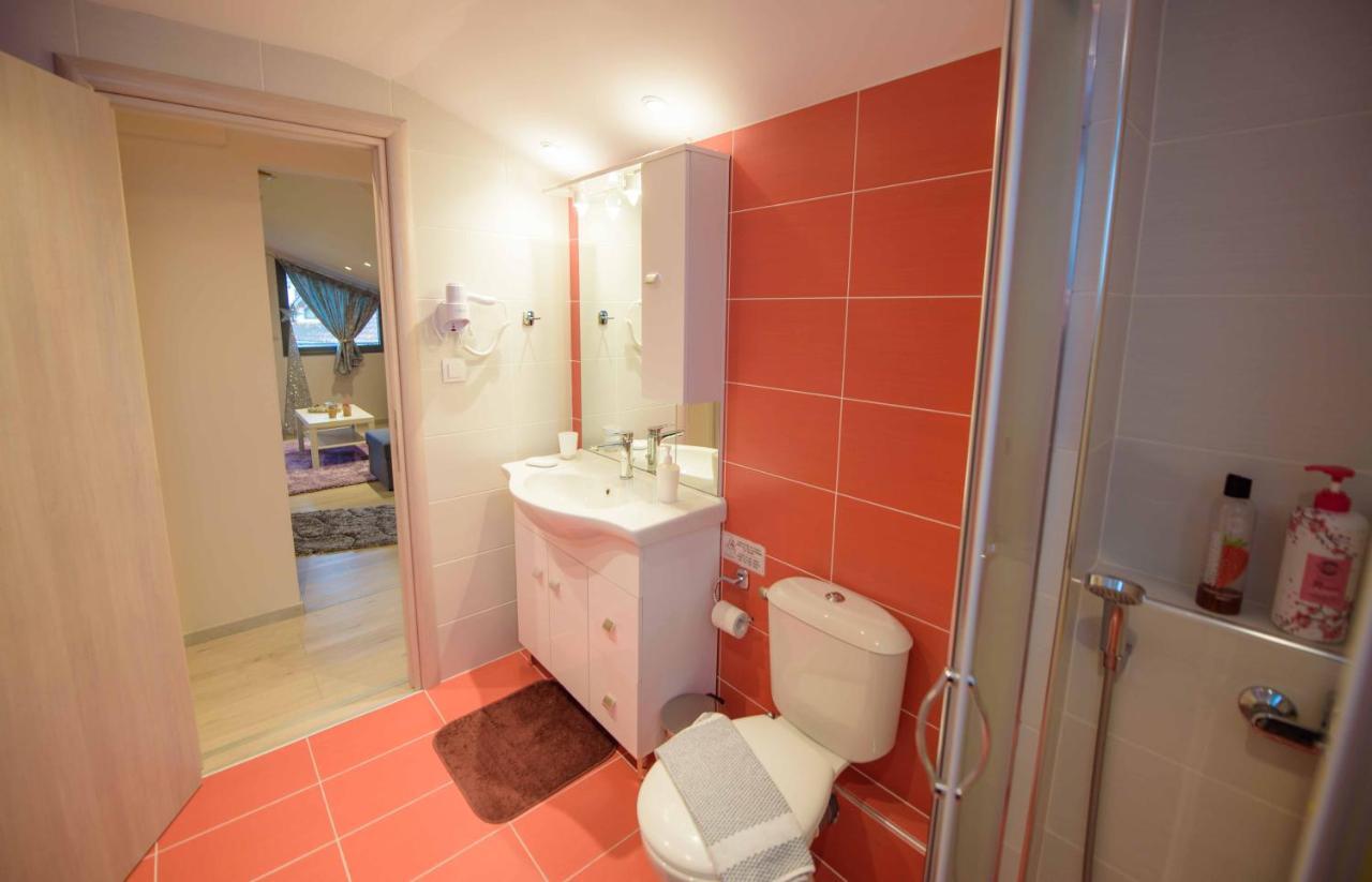 New Loft Polixeni Apartment อิโออันนินา ภายนอก รูปภาพ